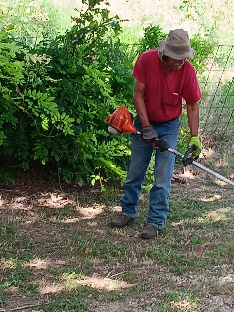 Local lawn care service in Austin, TX - Austin Lawn Care