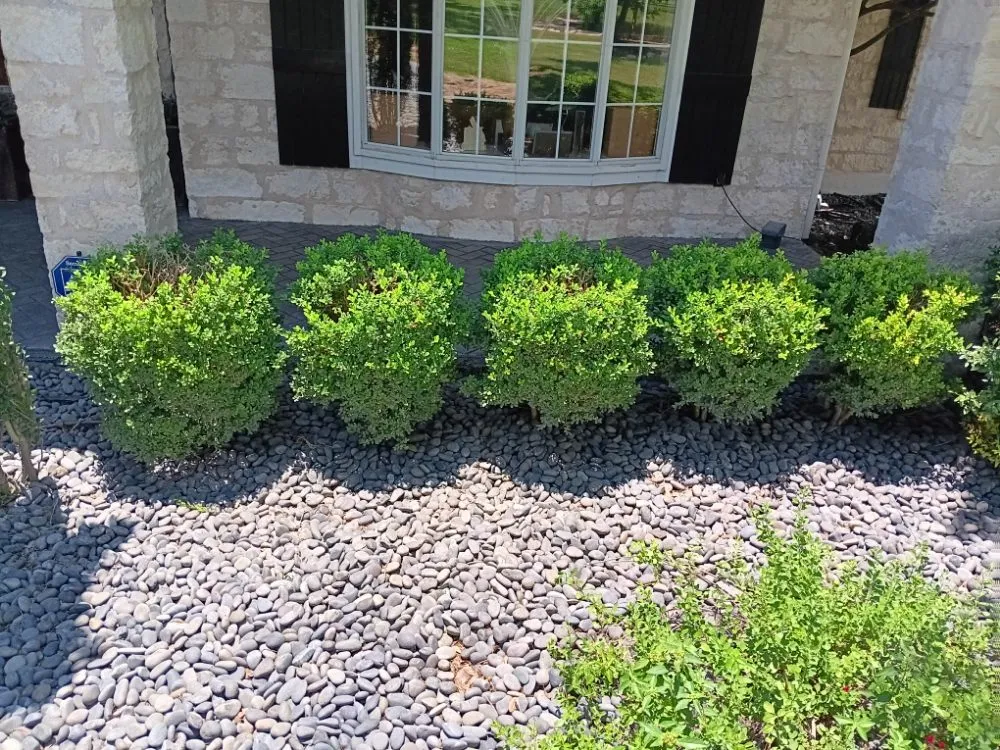 Custom landscape installation for residential properties across Austin, TX - Austin Lawn Care