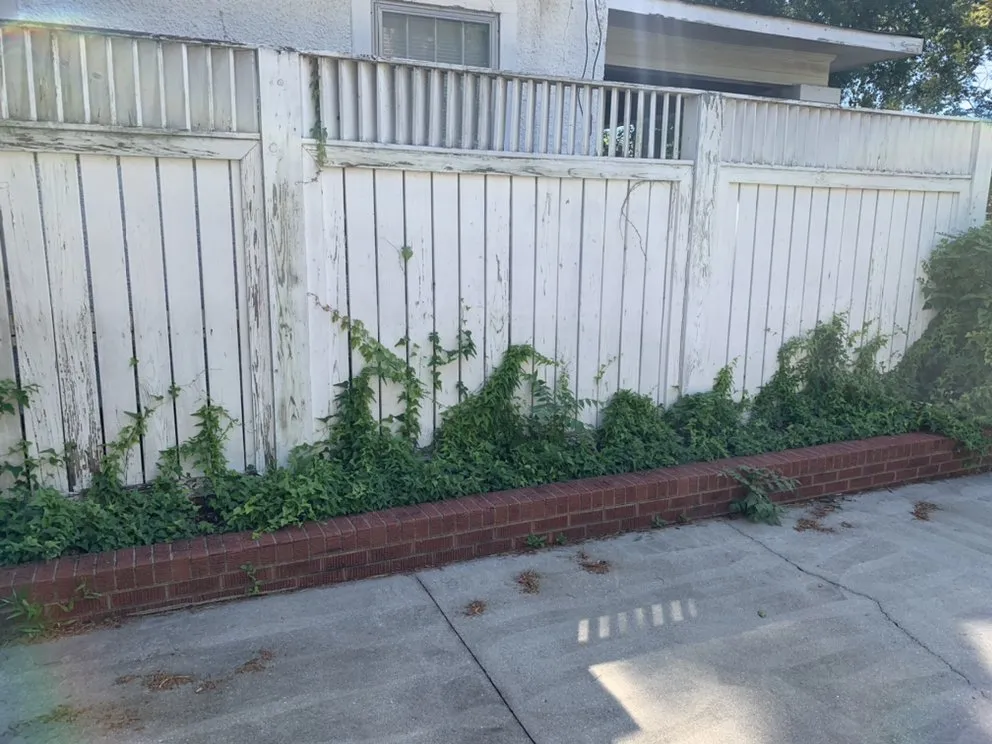 Expert yard cleanup service experts serving Florence, AL - Austin Lawn Care