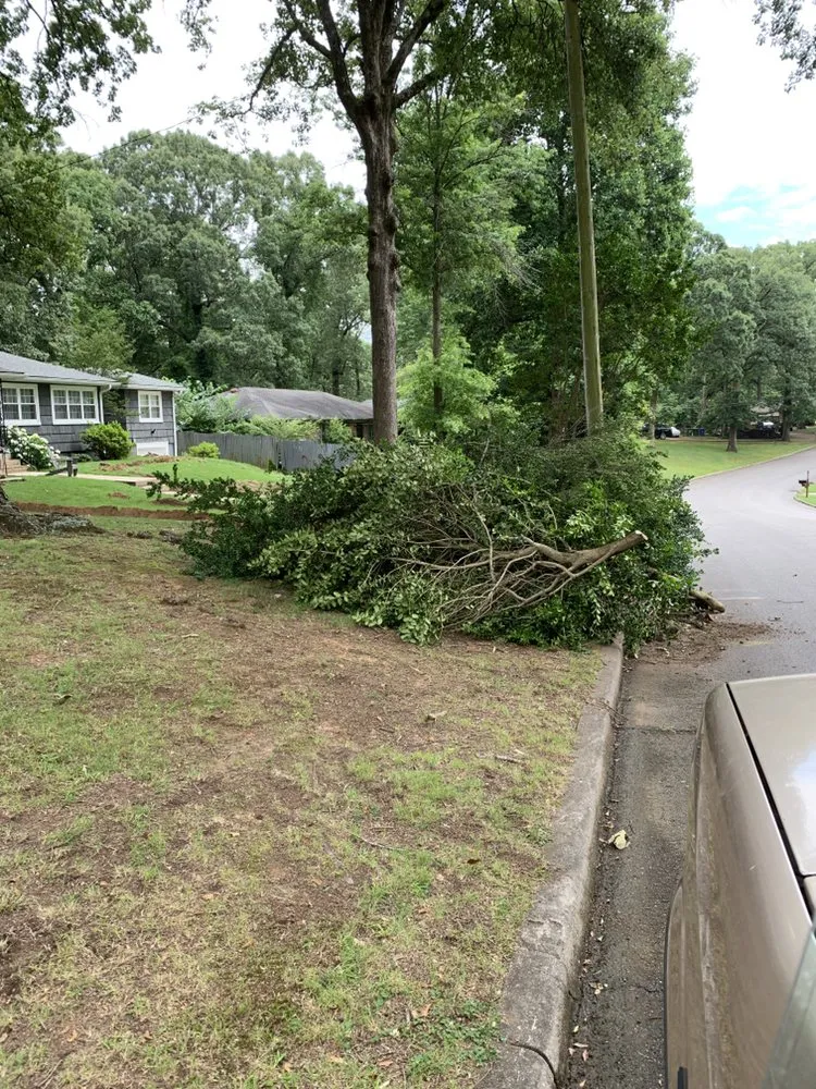 Top-rated yard maintenance for beautiful yards in Florence, AL by Austin Lawn Care