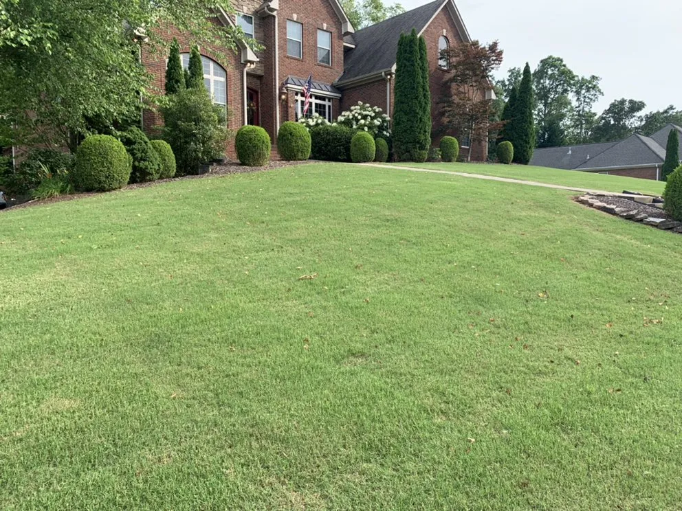 Reliable landscaping services experts serving Florence, AL - Austin Lawn Care
