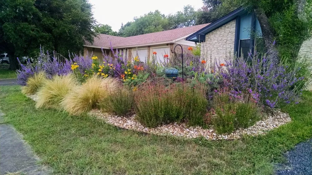 Reliable lawn care service for year-round maintenance in Austin, TX by Austin Native Landscaping