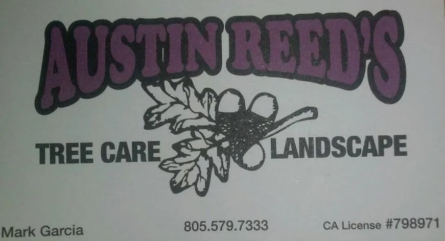 Local lawn mowing service in Simi Valley, CA by Austin Reed's Tree Care & Landscape