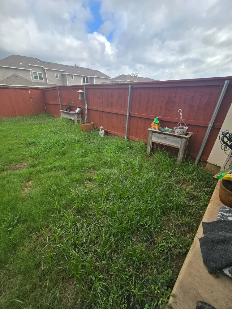 Affordable yard maintenance for year-round maintenance in Manor, TX by Austin Remodeling Experts