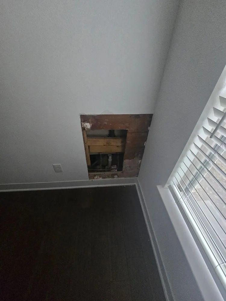 Local garden landscaping in Manor, TX - Austin Remodeling Experts