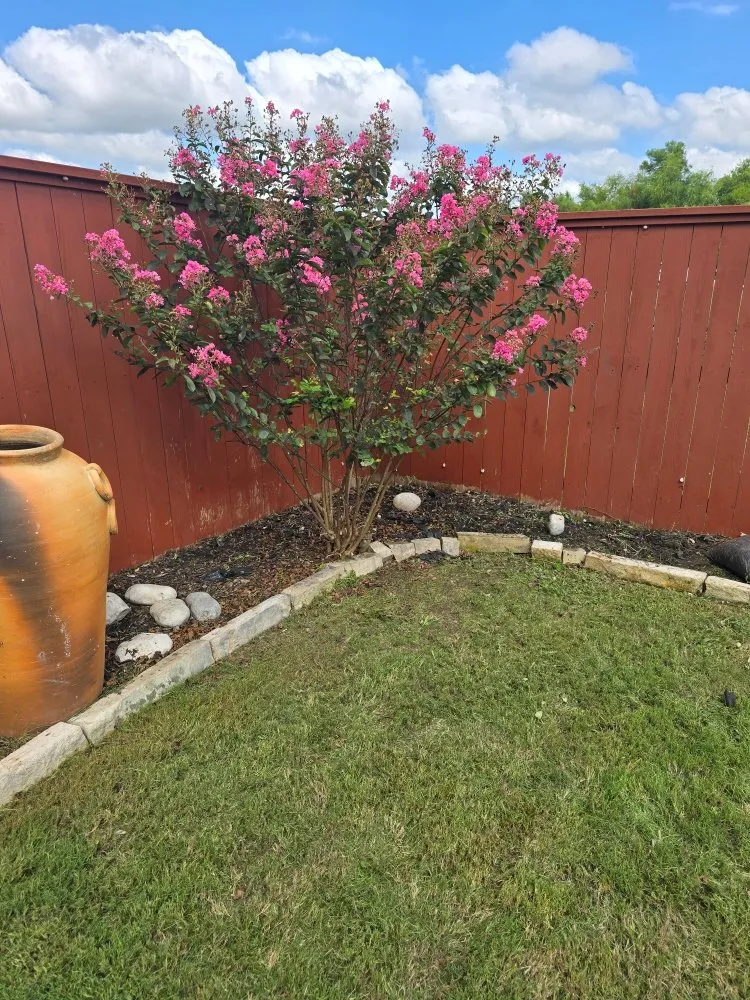 Top-rated landscaping services for year-round maintenance in Manor, TX by Austin Remodeling Experts