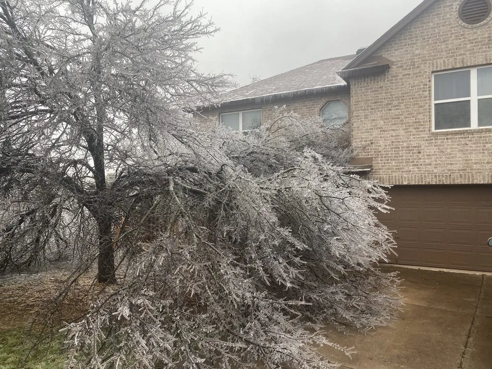 Top-rated lawn care service for outdoor upgrades across Cedar Park, TX - Austin Sonscapes