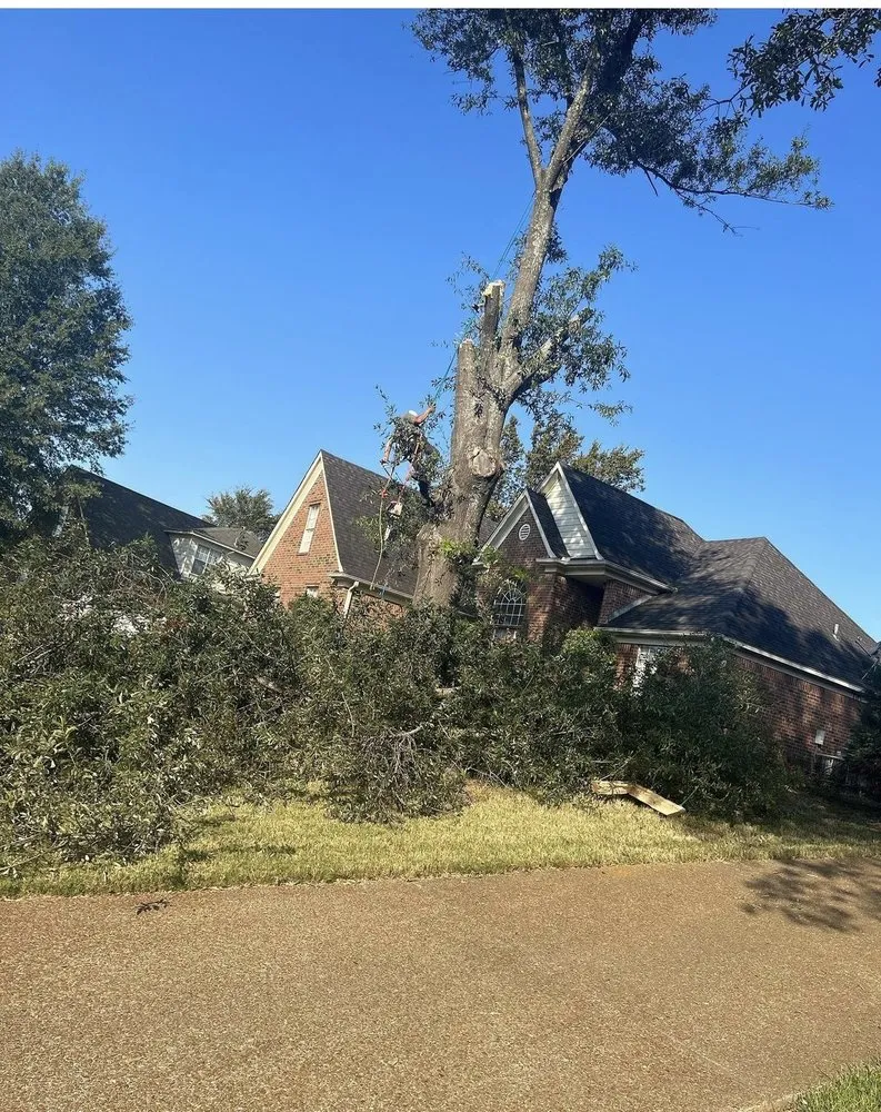 Custom lawn care service in Hampton, GA by Austin Tree And Lawn Care