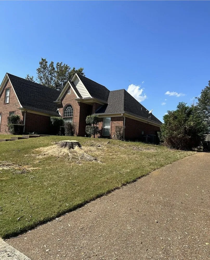 Local yard maintenance experts serving Hampton, GA - Austin Tree And Lawn Care