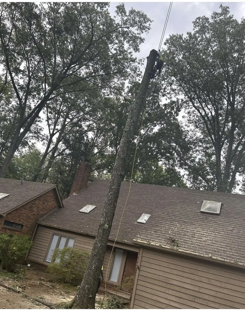 Reliable landscape design in Hampton, GA by Austin Tree And Lawn Care