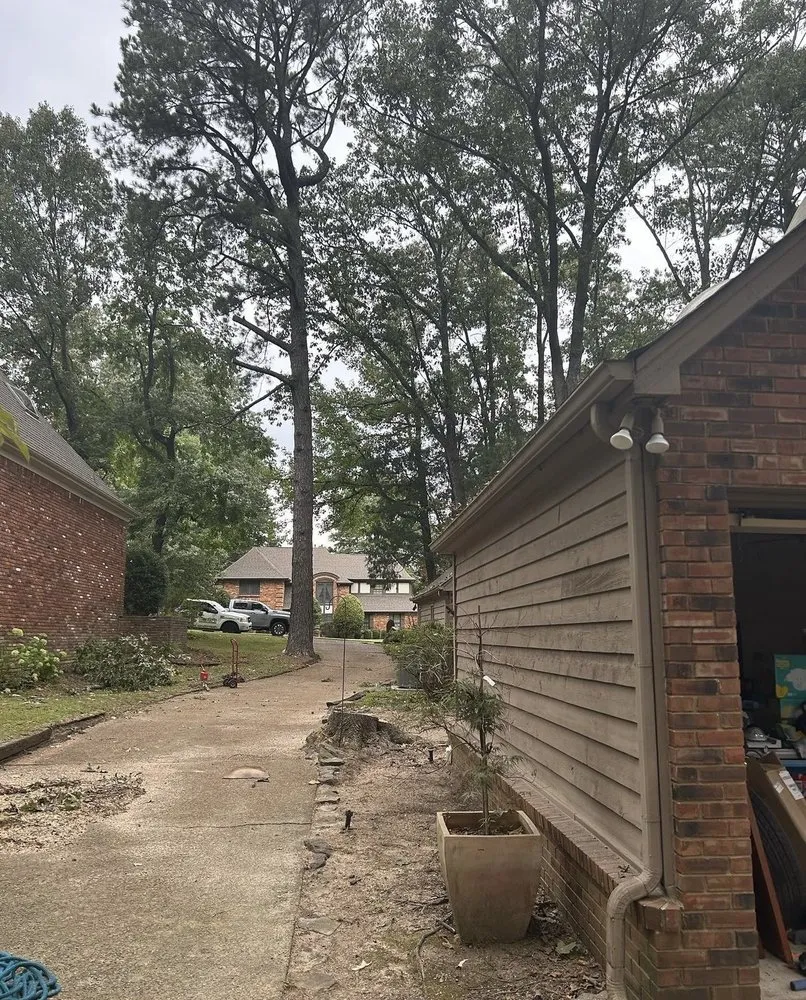 Trusted landscape installation for outdoor upgrades in Hampton, GA by Austin Tree And Lawn Care