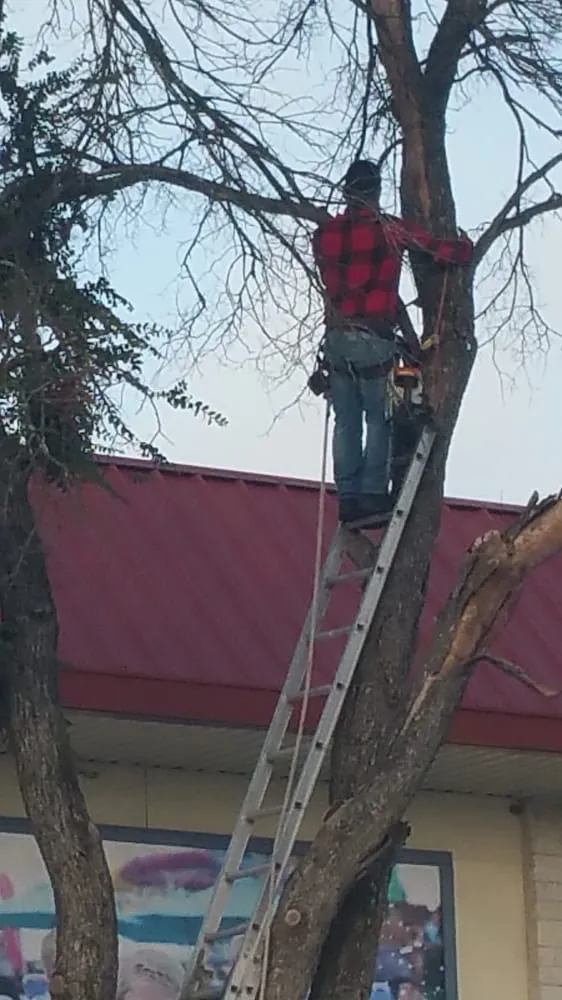 Trusted lawn mowing service in Pflugerville, TX - Austin Tree Trimming