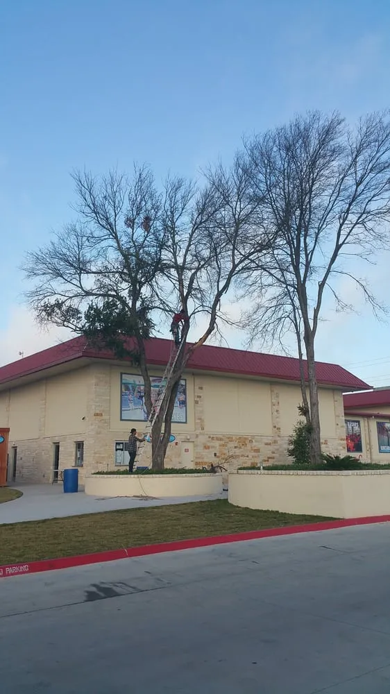 Top-rated landscape installation near you across Pflugerville, TX - Austin Tree Trimming