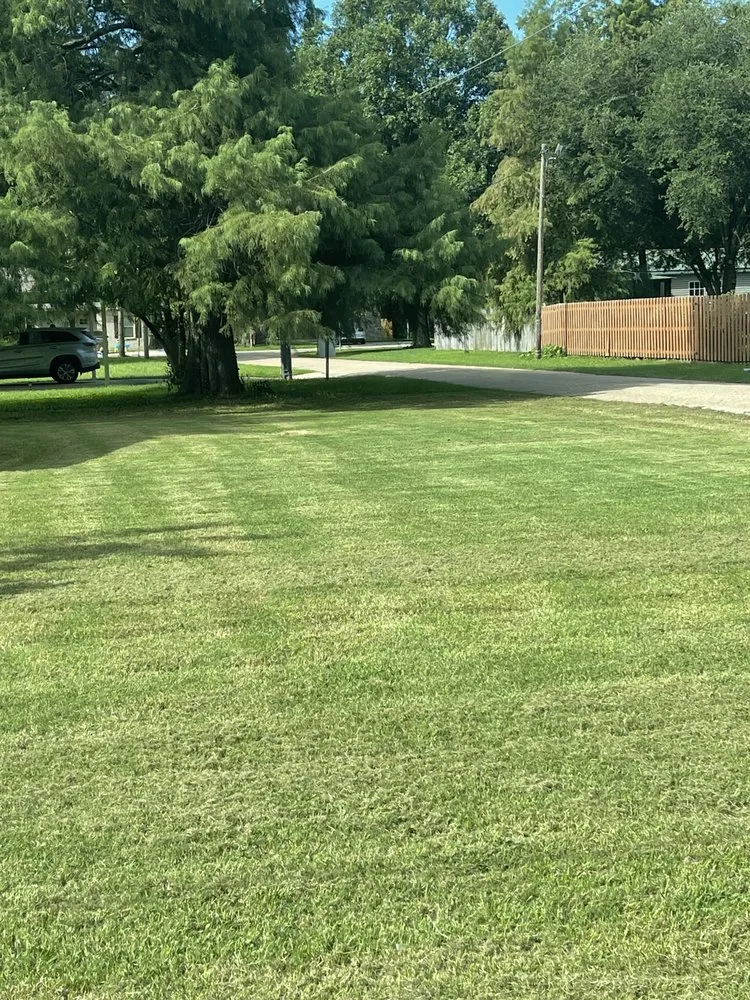 Custom landscaping services for residential properties in Caraway, AR by Austin Turf & Lawn