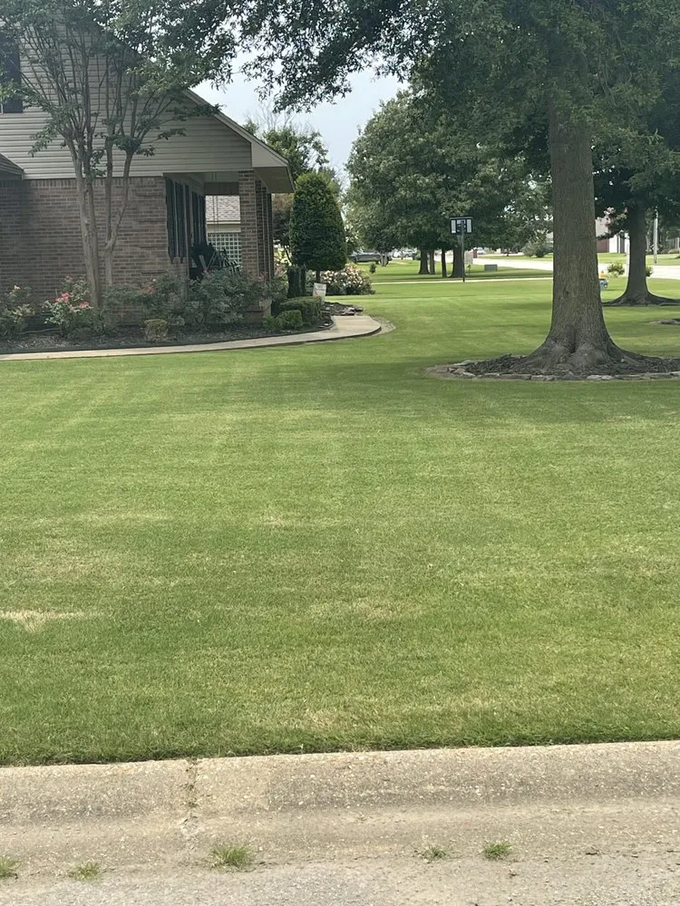 Reliable yard maintenance for homes across Caraway, AR - Austin Turf & Lawn