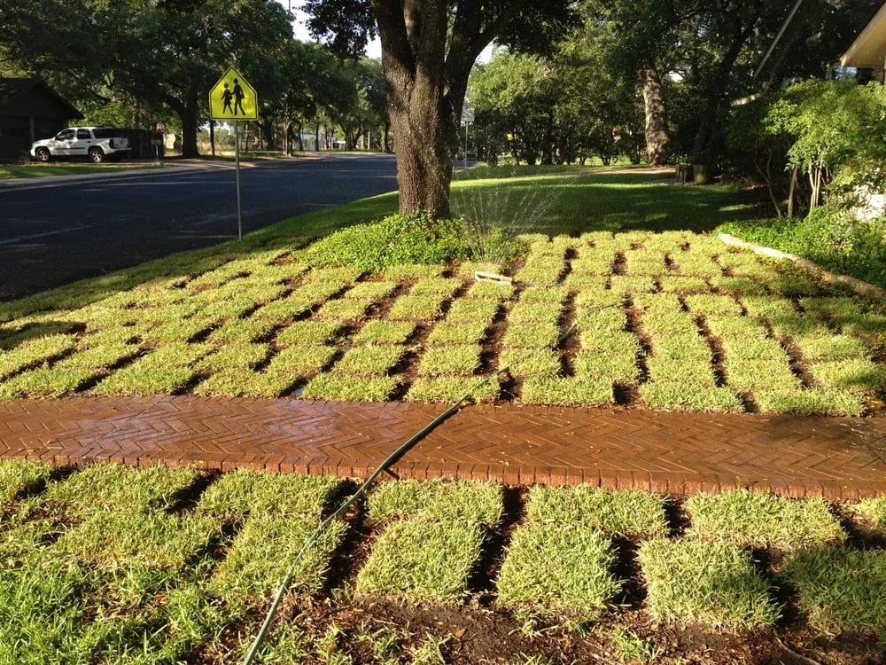 Trusted outdoor landscaping in Austin, TX - Austin Turf Grass