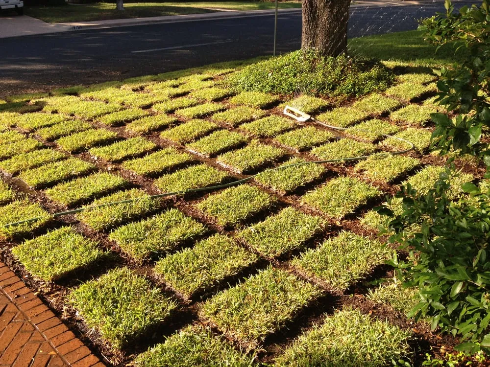 Expert lawn mowing service for beautiful yards across Austin, TX - Austin Turf Grass