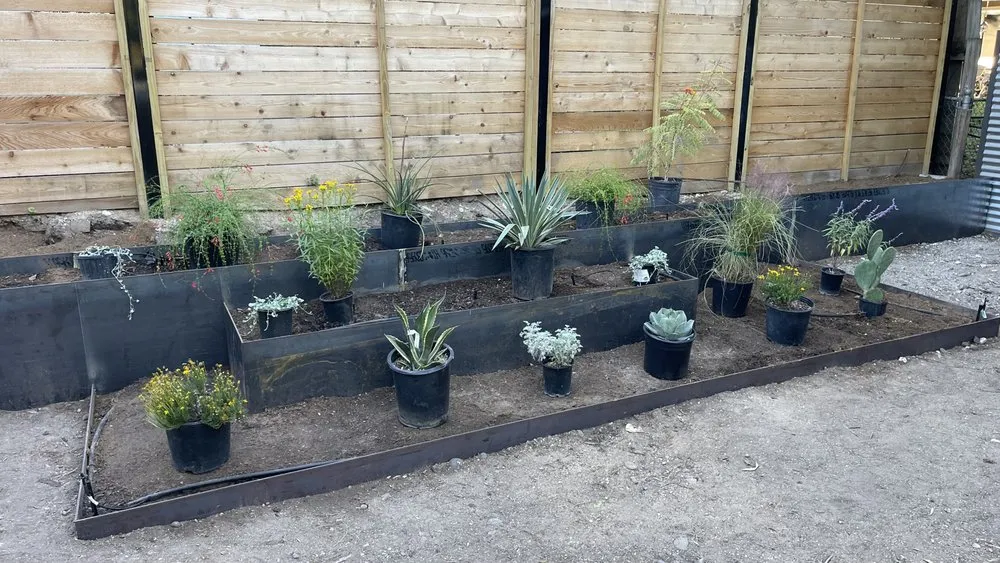 Custom landscape design experts serving Austin, TX - Austin Yard Barber