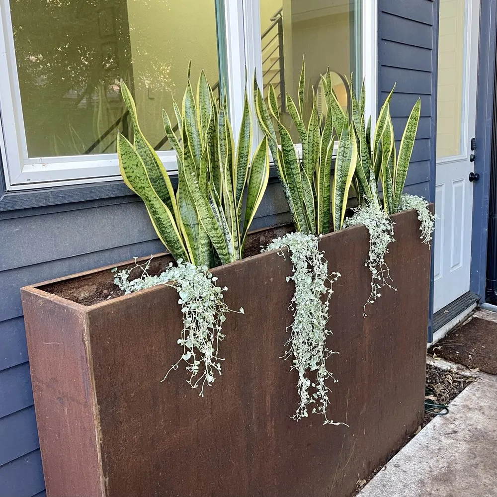 Custom outdoor landscaping in Austin, TX by Austin Yard Barber