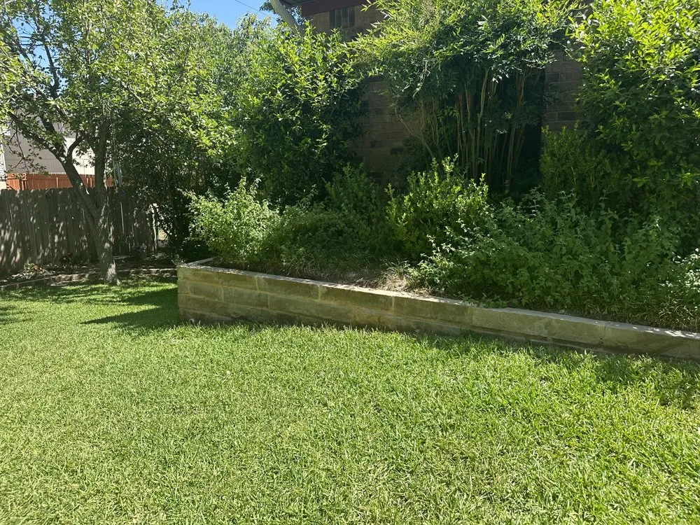 Expert landscaping services experts serving Hutto, TX - Austin Yard Builder