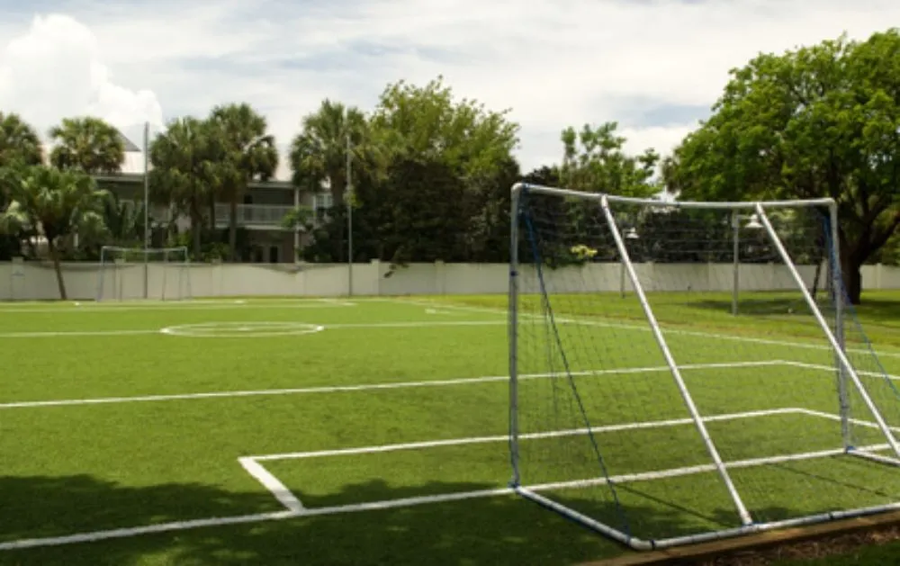 Professional yard maintenance for homes in Saint Petersburg, FL by Austin's Artificial Grass