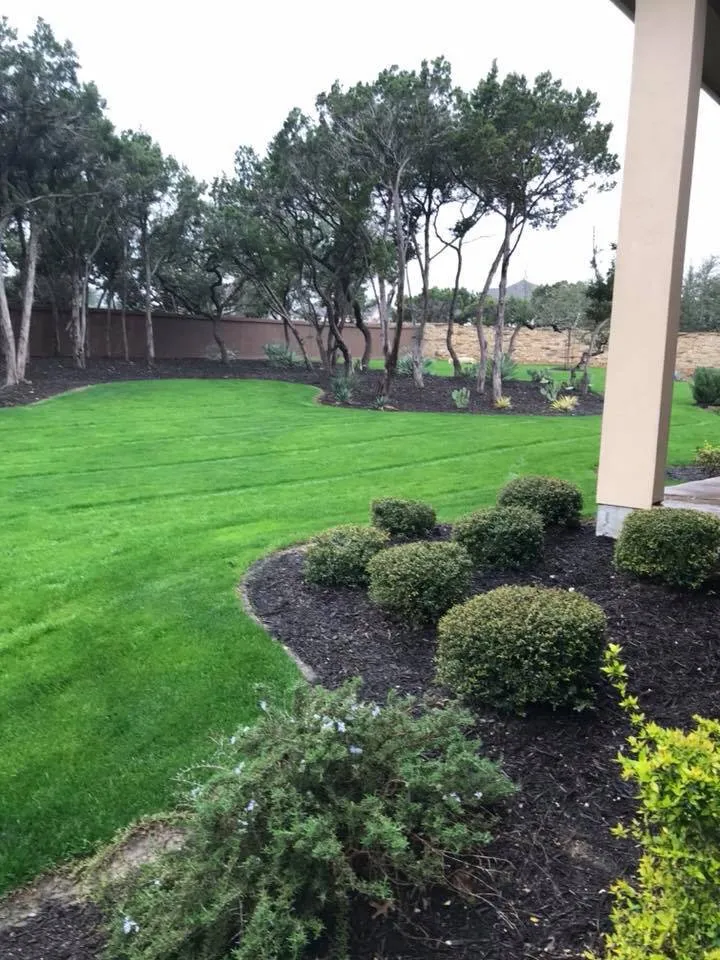 Reliable lawn care service for homes in Austin, TX by Austin's Best Lawn and Landscape