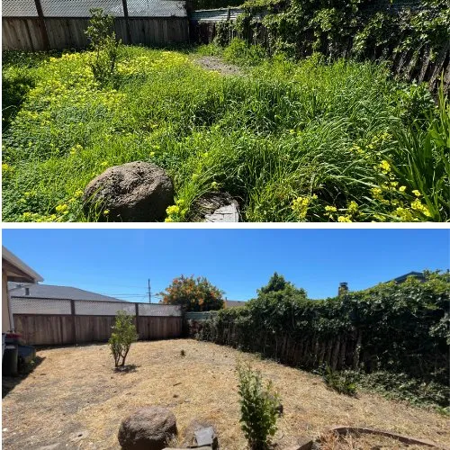 Trusted landscape design experts serving Modesto, CA - Austin's Garden & Tree Service