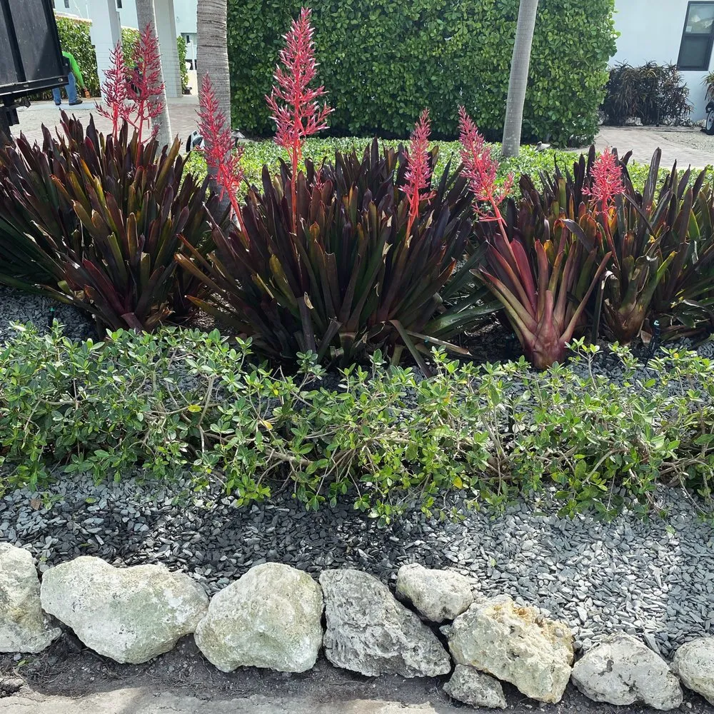 Top-rated landscape design in Islamorada, FL by Austin’s Island Lawn Care