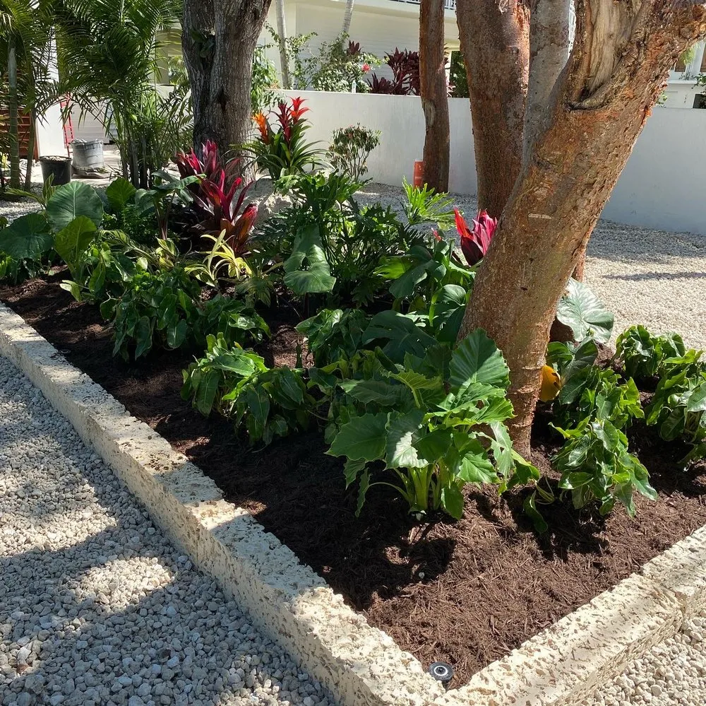 Expert outdoor landscaping near you in Islamorada, FL by Austin’s Island Lawn Care