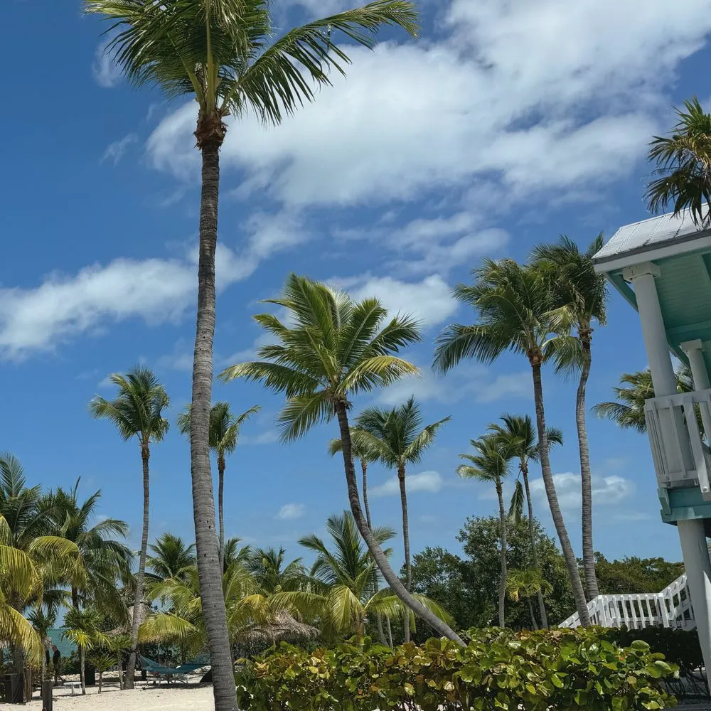 Professional yard maintenance experts serving Islamorada, FL - Austin’s Island Lawn Care