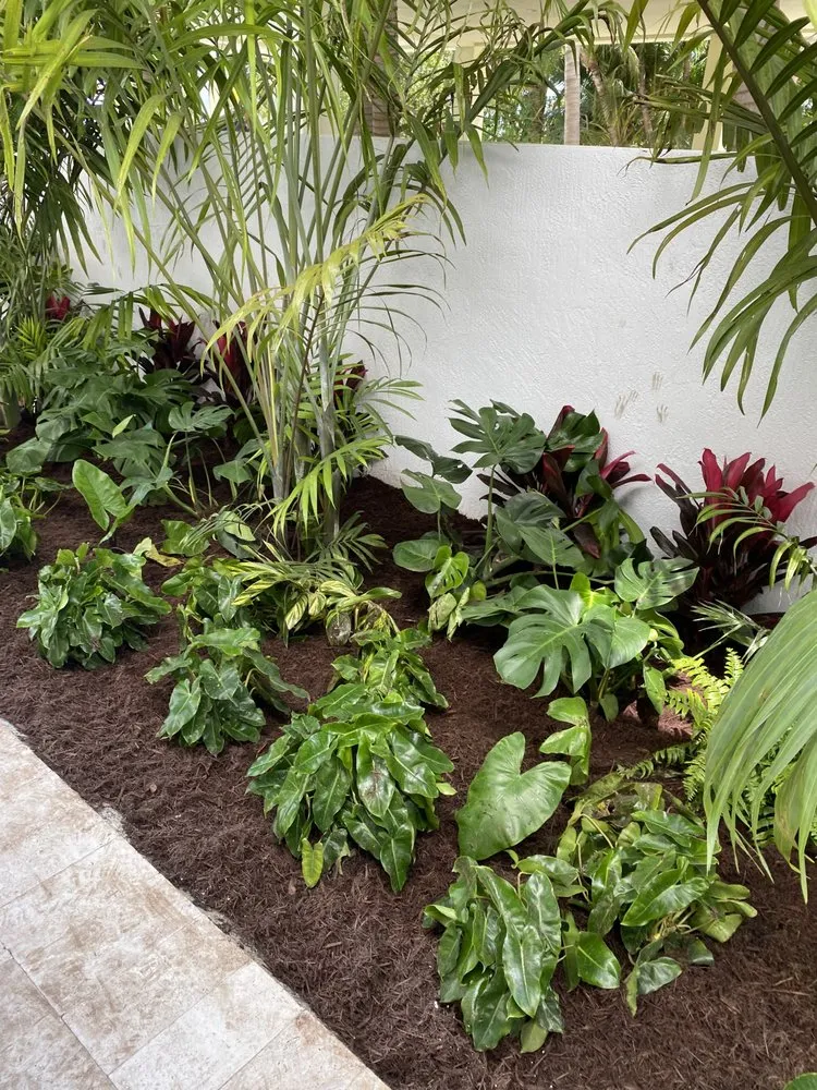 Top-rated yard cleanup service in Islamorada, FL - Austin’s Island Lawn Care