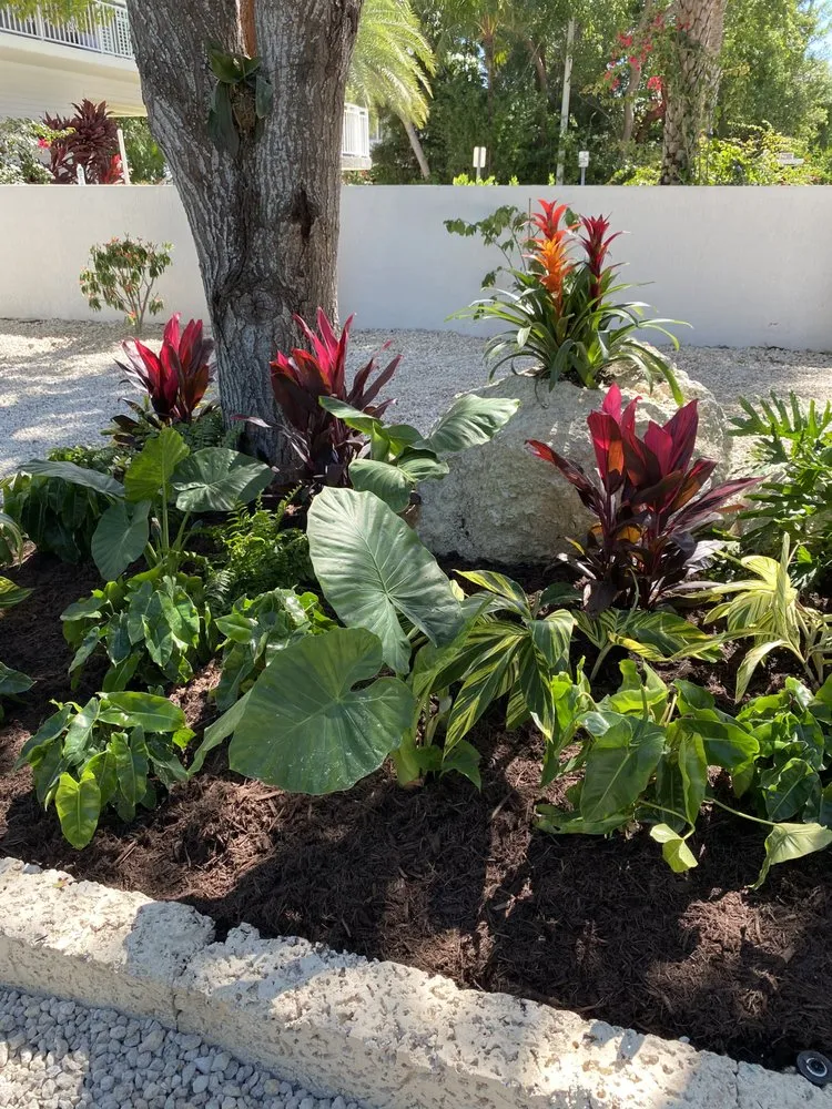 Professional lawn care service in Islamorada, FL - Austin’s Island Lawn Care