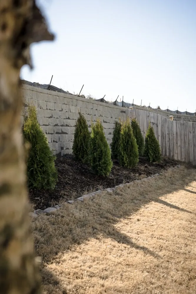 Trusted outdoor landscaping in Lexington, SC - Austin's Landscape & Irrigation