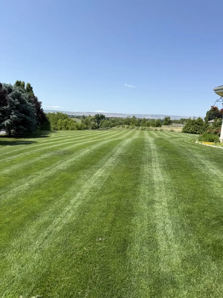Affordable yard maintenance experts serving Walla Walla, WA - Austin’s Landscaping