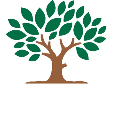 Austin's Lawn & Landscaping Company