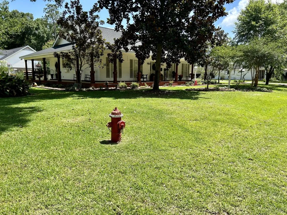 Reliable yard maintenance in Mobile, AL by Austin’s Lawn care