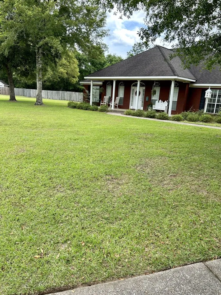 Local landscape design for outdoor upgrades across Mobile, AL - Austin’s Lawn care