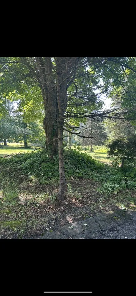 Top-rated lawn mowing service with custom design across Sussex, NJ - Austins Lawn Care