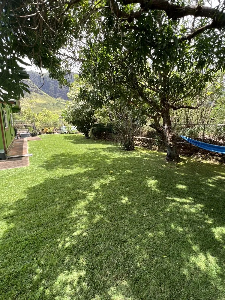 Local yard cleanup service in Waianae, HI - Austin’s lawn services