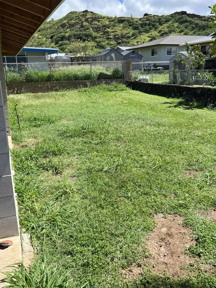 Expert landscaping services in Waianae, HI - Austin’s lawn services