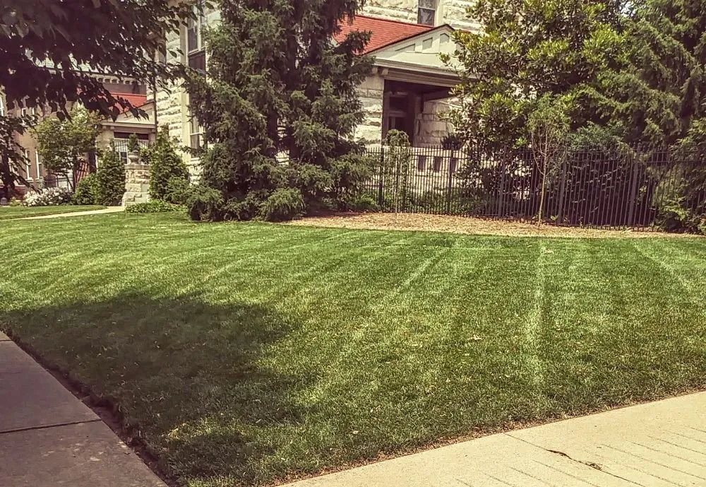 Professional lawn care service near you in St. Louis, MO by Austin's Lawncare
