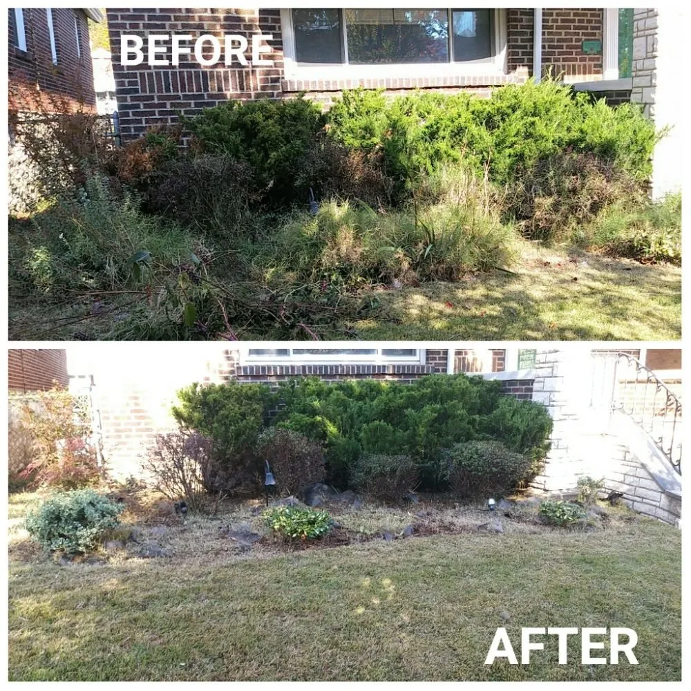 Top-rated yard maintenance experts serving St. Louis, MO - Austin's Lawncare