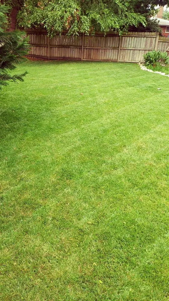 Top-rated yard maintenance for homes across St. Louis, MO - Austin's Lawncare