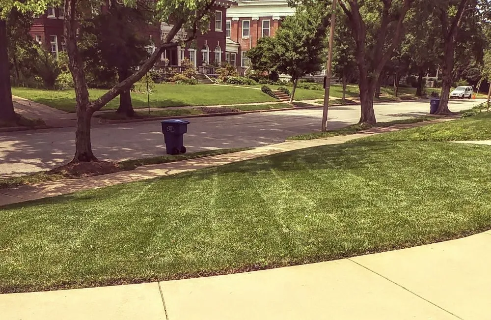 Professional lawn mowing service for beautiful yards across St. Louis, MO - Austin's Lawncare