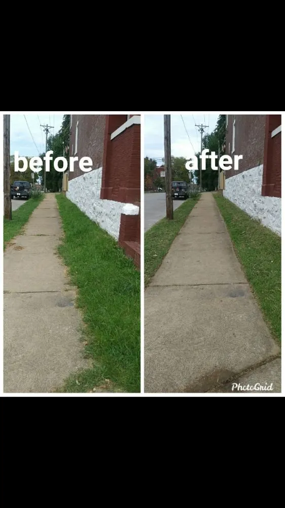 Trusted yard cleanup service for residential properties across St. Louis, MO - Austin's Lawncare