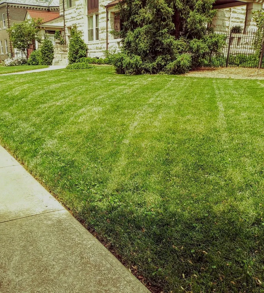 Reliable lawn care service for outdoor upgrades across St. Louis, MO - Austin's Lawncare