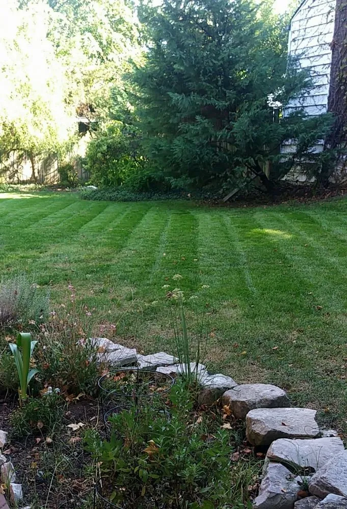 Top-rated landscape design for homes in St. Louis, MO by Austin's Lawncare