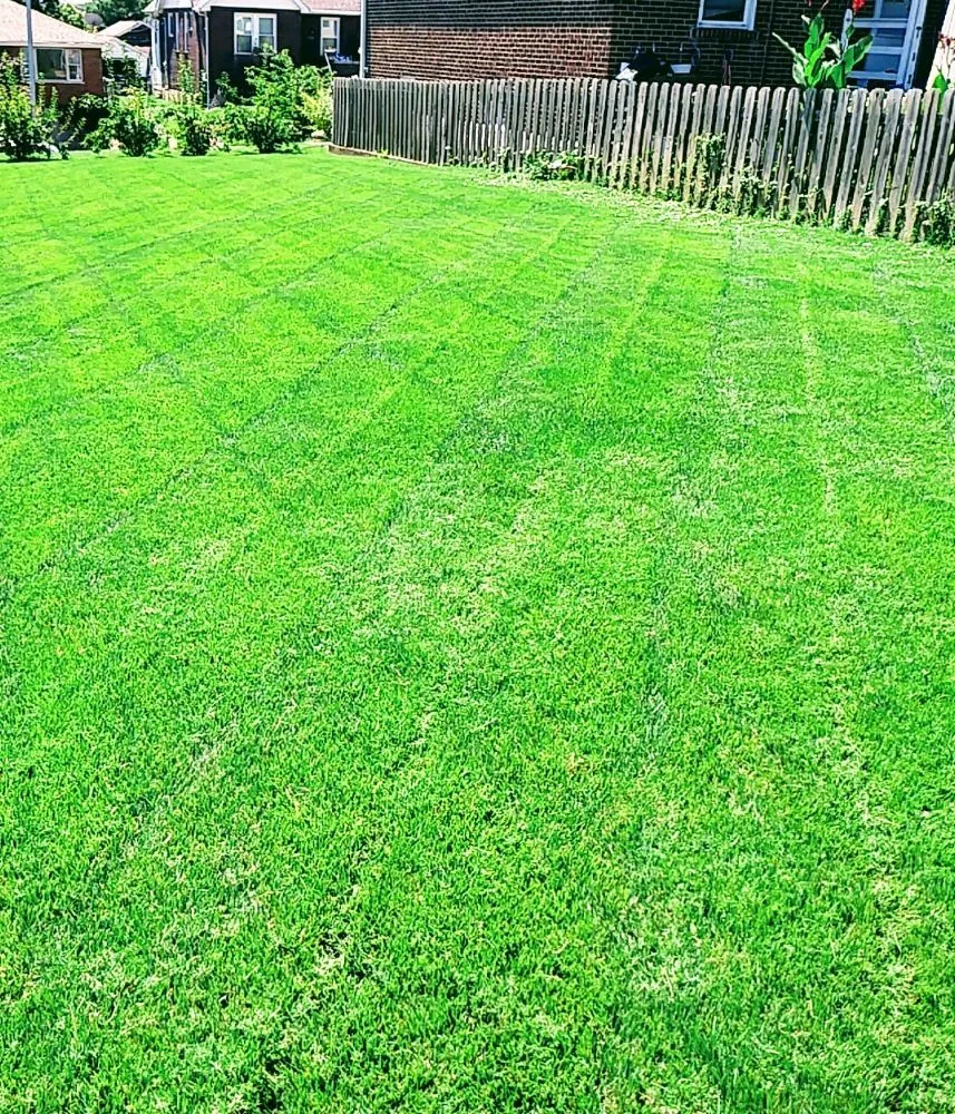 Expert garden landscaping experts serving St. Louis, MO - Austin's Lawncare