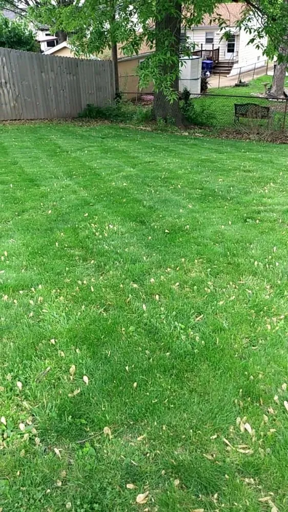 Custom residential landscaping in St. Louis, MO - Austin's Lawncare