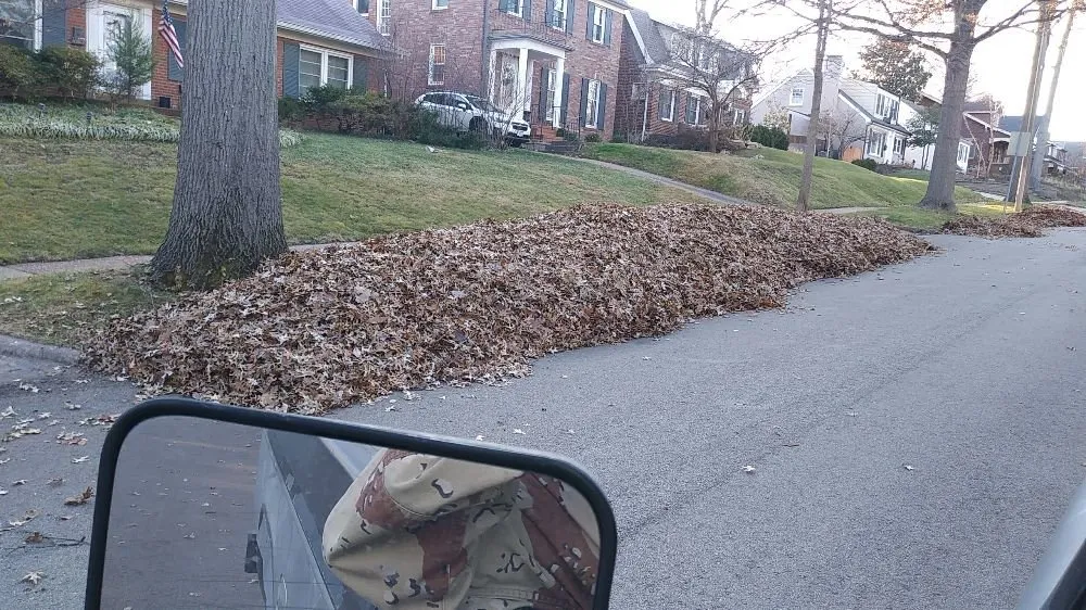 Affordable landscape design in St. Louis, MO by Austin's Lawncare